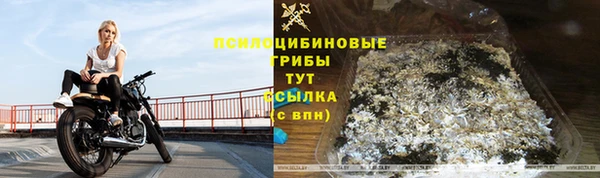 марки nbome Аркадак