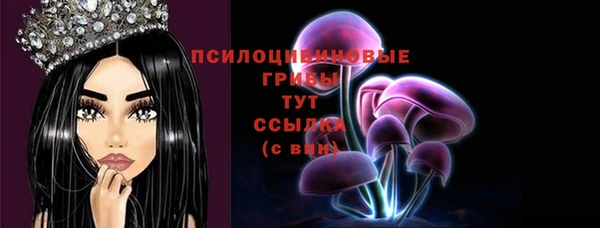 трава Арсеньев