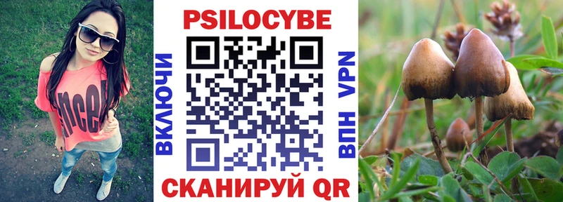 как найти   Волчанск  Галлюциногенные грибы прущие грибы 